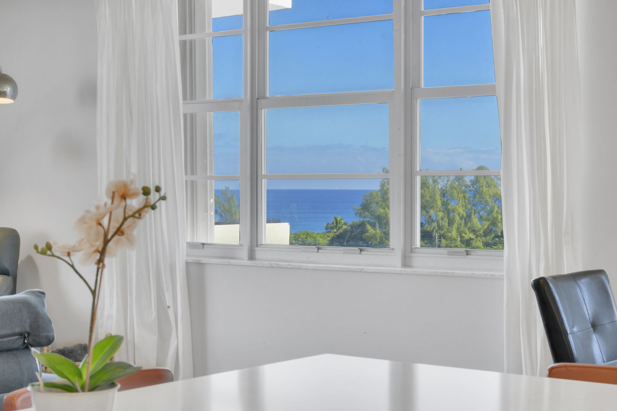 28-web-or-mls-DSC09854dsc09854