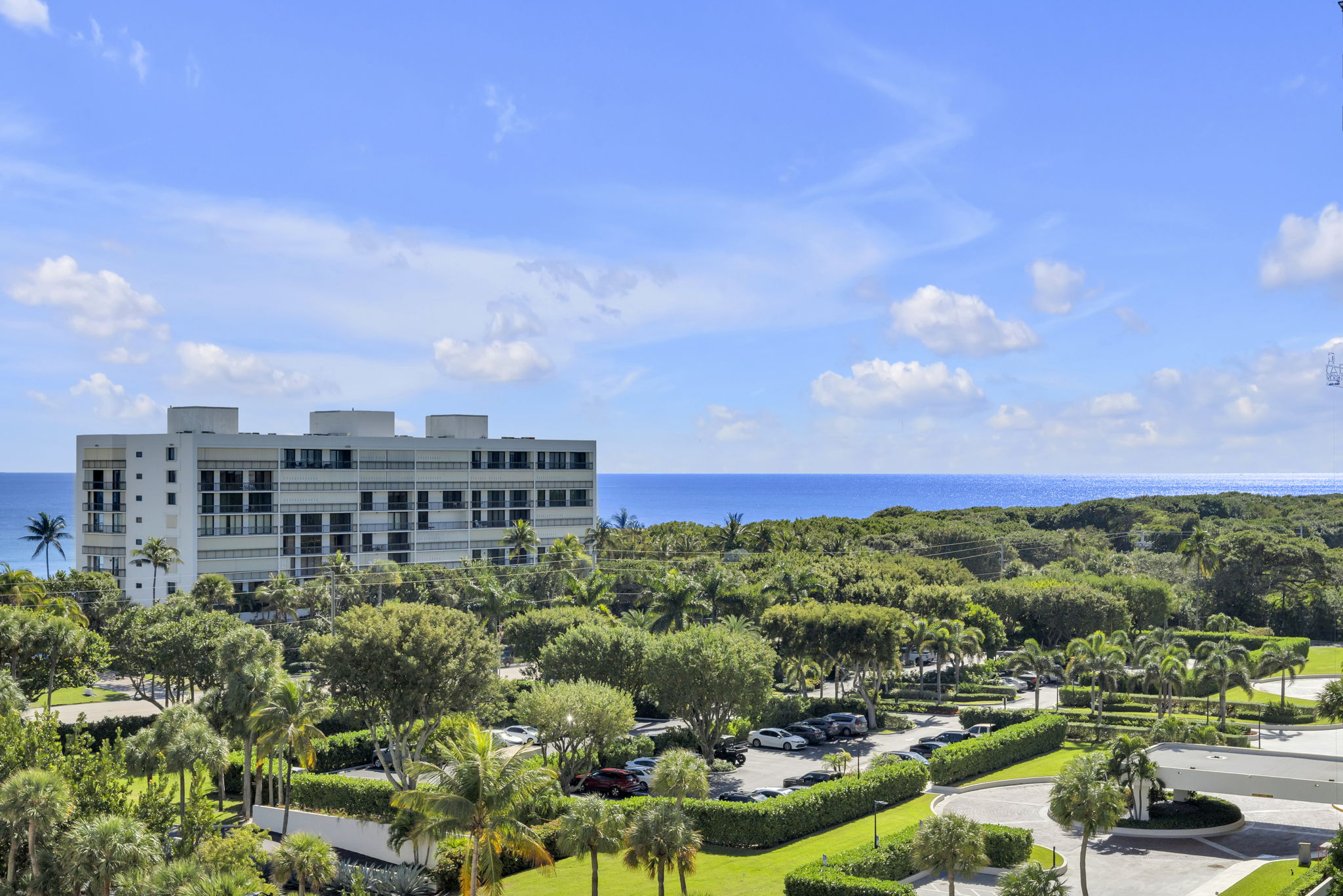 31-web-or-mls-DSC09869dsc09869