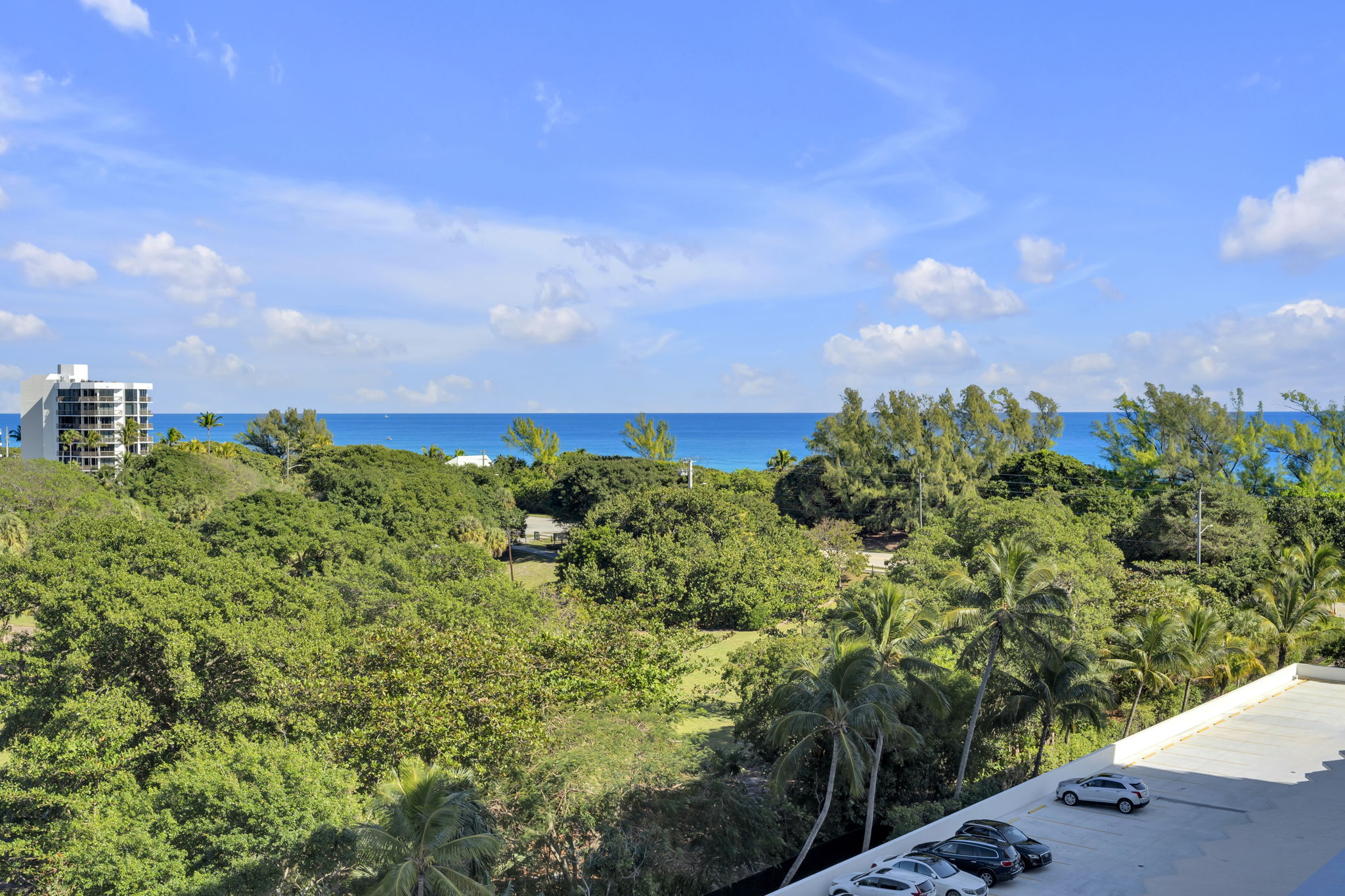 33-web-or-mls-DSC09879dsc09879